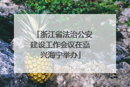 浙江省法治公安建设工作会议在嘉兴海宁举办