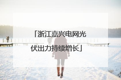 浙江嘉兴电网光伏出力持续增长
