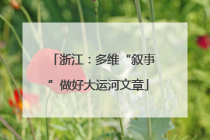 浙江：多维“叙事”做好大运河文章