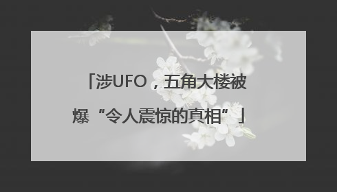 涉UFO，五角大楼被爆“令人震惊的真相”