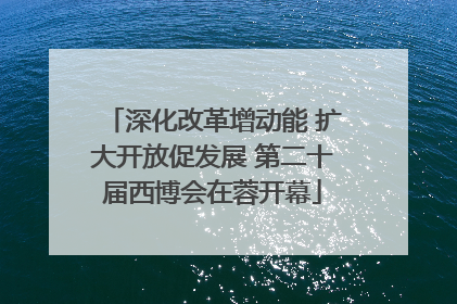 深化改革增动能 扩大开放促发展 第二十届西博会在蓉开幕