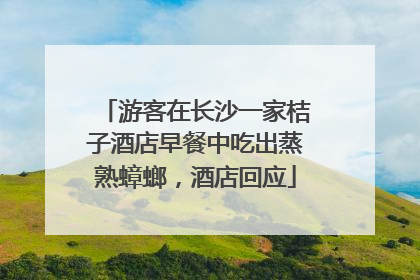 游客在长沙一家桔子酒店早餐中吃出蒸熟蟑螂，酒店回应