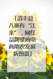 清丰县：八寨有“江来”，网红品牌擘画电商助农发展新图景