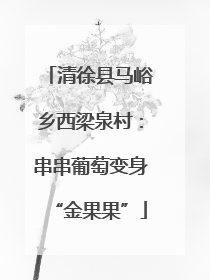 清徐县马峪乡西梁泉村：串串葡萄变身“金果果”