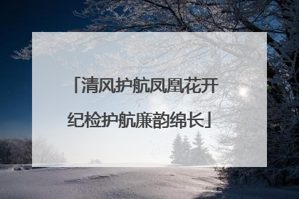 清风护航凤凰花开 纪检护航廉韵绵长