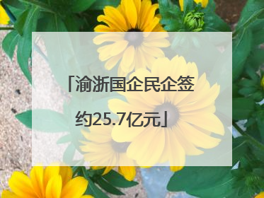 渝浙国企民企签约25.7亿元