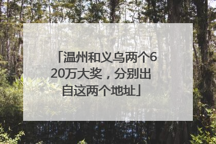 温州和义乌两个620万大奖，分别出自这两个地址