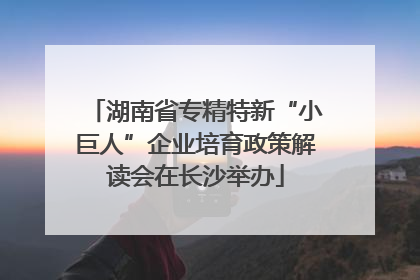 湖南省专精特新“小巨人”企业培育政策解读会在长沙举办