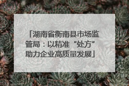 湖南省衡南县市场监管局：以精准“处方”助力企业高质量发展