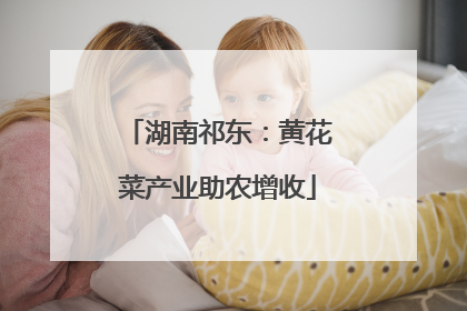 湖南祁东：黄花菜产业助农增收