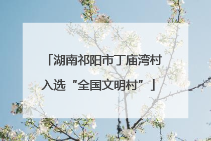 湖南祁阳市丁庙湾村入选“全国文明村”