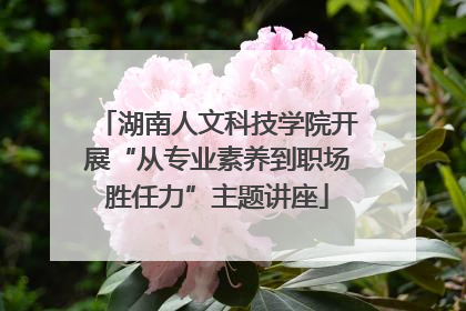 湖南人文科技学院开展“从专业素养到职场胜任力”主题讲座