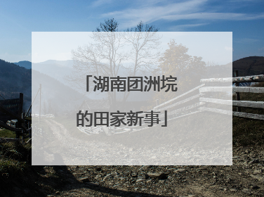 湖南团洲垸的田家新事