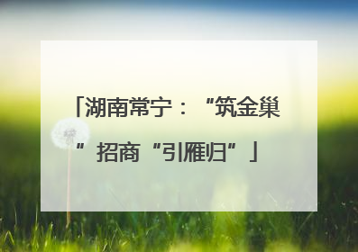 湖南常宁：“筑金巢”招商“引雁归”