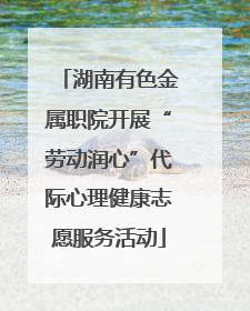 湖南有色金属职院开展“劳动润心”代际心理健康志愿服务活动