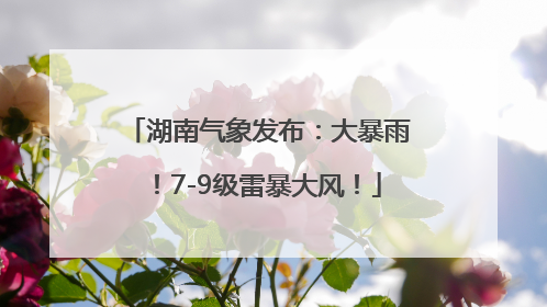 湖南气象发布：大暴雨！7-9级雷暴大风！