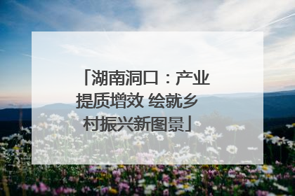 湖南洞口：产业提质增效 绘就乡村振兴新图景