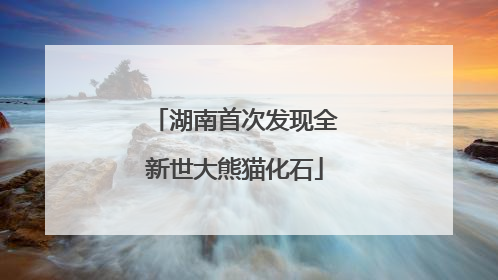 湖南首次发现全新世大熊猫化石