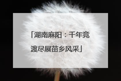 湖南麻阳：千年竞渡尽展苗乡风采