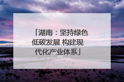 湖南：坚持绿色低碳发展 构建现代化产业体系