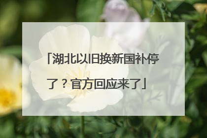 湖北以旧换新国补停了？官方回应来了