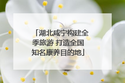 湖北咸宁构建全季旅游 打造全国知名康养目的地