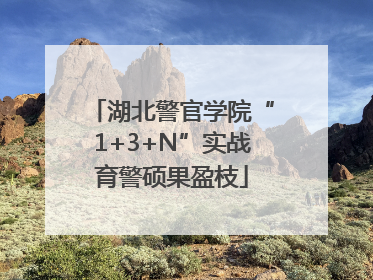 湖北警官学院“1+3+N”实战育警硕果盈枝