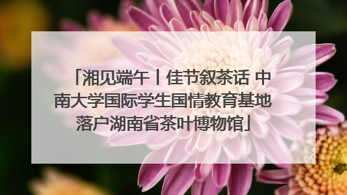 湘见端午丨佳节叙茶话 中南大学国际学生国情教育基地落户湖南省茶叶博物馆