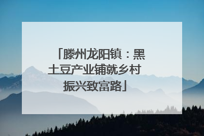 滕州龙阳镇：黑土豆产业铺就乡村振兴致富路