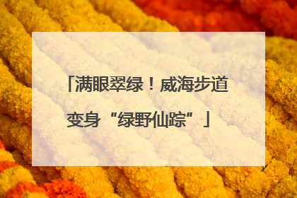 满眼翠绿！威海步道变身“绿野仙踪”