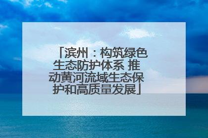 滨州：构筑绿色生态防护体系 推动黄河流域生态保护和高质量发展