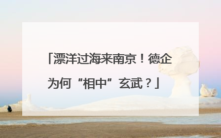 漂洋过海来南京！德企为何“相中”玄武？