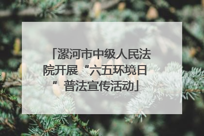 漯河市中级人民法院开展“六五环境日”普法宣传活动