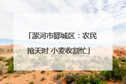 漯河市郾城区：农民抢天时 小麦收割忙