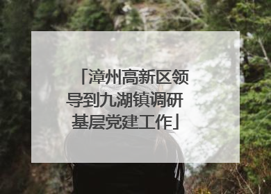 漳州高新区领导到九湖镇调研基层党建工作