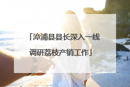 漳浦县县长深入一线调研荔枝产销工作