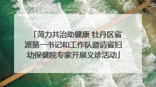 菏力共治助健康 牡丹区省派第一书记和工作队邀请省妇幼保健院专家开展义诊活动