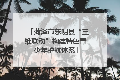 菏泽市东明县“三维联动”构建特色青少年护航体系