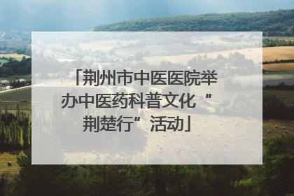 荆州市中医医院举办中医药科普文化“荆楚行”活动