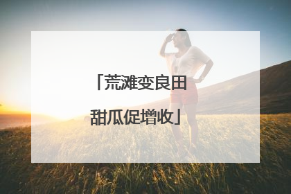 荒滩变良田 甜瓜促增收