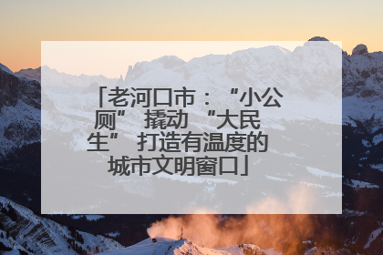 老河口市：“小公厕” 撬动 “大民生” 打造有温度的城市文明窗口