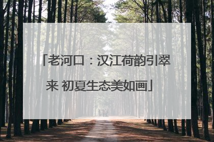 老河口：汉江荷韵引翠来 初夏生态美如画