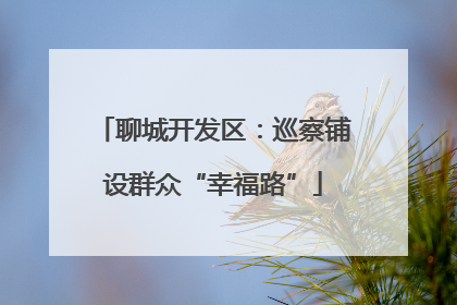 聊城开发区：巡察铺设群众“幸福路”