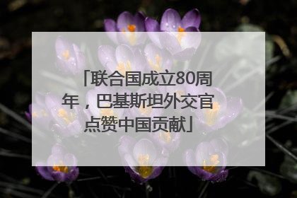 联合国成立80周年，巴基斯坦外交官点赞中国贡献