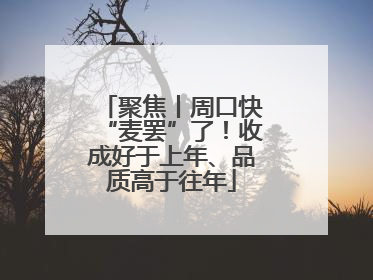 聚焦丨周口快“麦罢”了！收成好于上年、品质高于往年