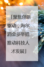 聚焦创新驱动，海尔消金多举措推动科技人才发展