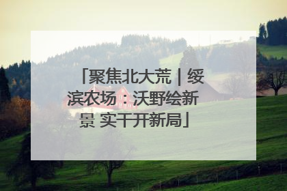 聚焦北大荒｜绥滨农场：沃野绘新景 实干开新局