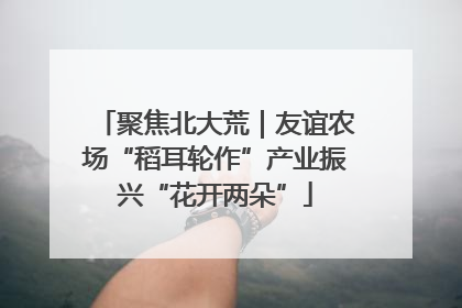 聚焦北大荒｜友谊农场“稻耳轮作”产业振兴“花开两朵”