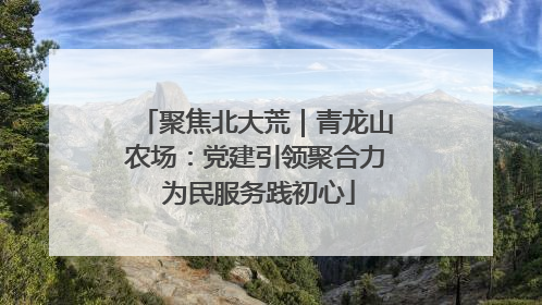 聚焦北大荒｜青龙山农场：党建引领聚合力 为民服务践初心
