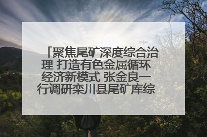 聚焦尾矿深度综合治理 打造有色金属循环经济新模式 张金良一行调研栾川县尾矿库综合治理工作
